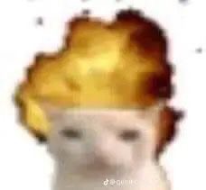 me rn